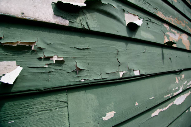 Trusted Hays, MT Junk Removal Experts