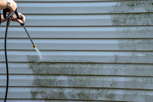 Best Construction Debris Removal  in Hays, MT