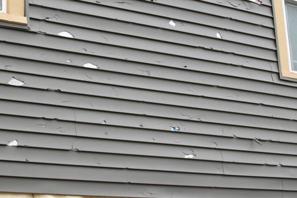 Best Same-Day Junk Removal Services  in Hays, MT