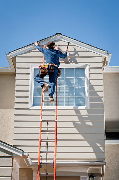 Best Shed Removal  in Hays, MT